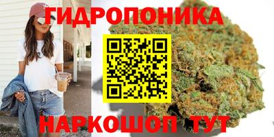 ешки Гусь-Хрустальный