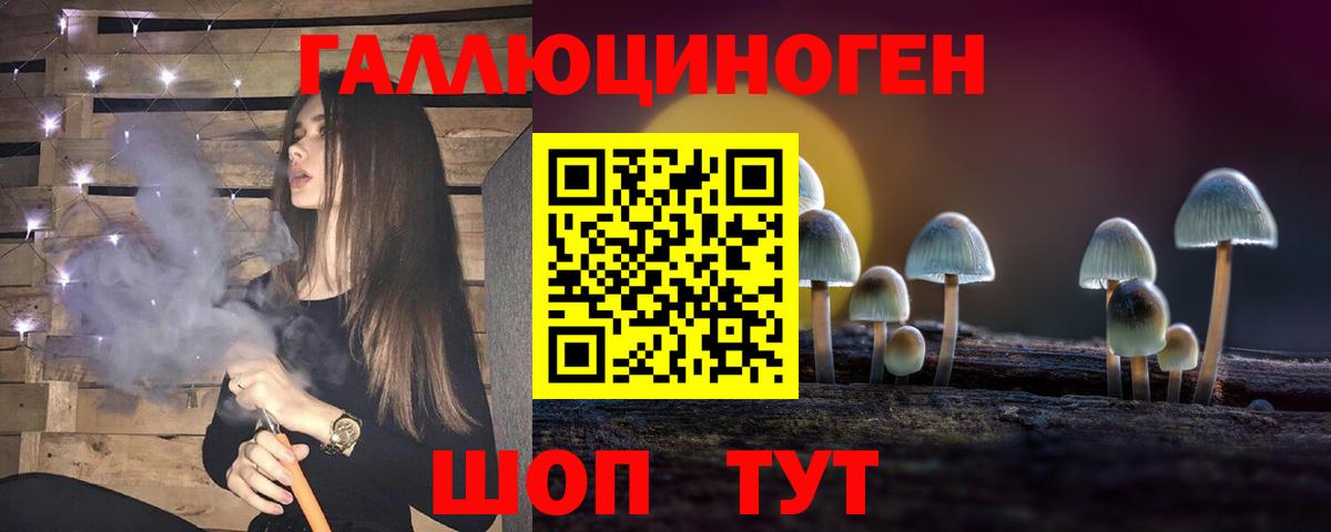 Псилоцибиновые грибы мицелий  Вход с VPN  Нижнеудинск 